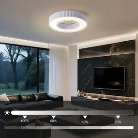 Brilagi - LUMIX LED dimmelhető mennyezeti lámpa LED/48W/230V 3000-6000K fehér Ø 50 cm + távirányító