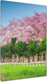 Vászonkép 80x120 Cseresznyés tájkép