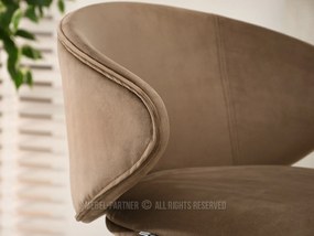 Szék Jared (bézs + arany). 1110703
