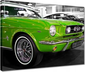 Vászonkép 40x30 Lime klasszikus Ford