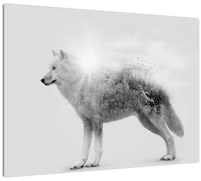 Kép - Vad tájat tükröző sarkvidéki farkas, fekete-fehér (üvegen) (70x50 cm)