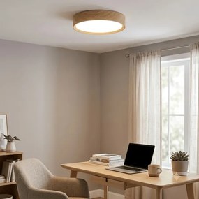 Brilagi - LED mennyezeti lámpatest NATURA LED/20W/230V 4000K átm. 33,7 cm