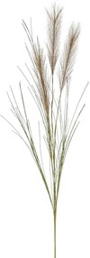 Pampas műnövény