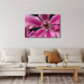 Rózsaszín flamingóvirág képe (90x60 cm)