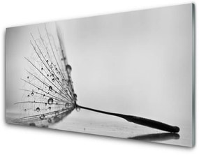 Akril üveg kép pitypang magok 100x50 cm