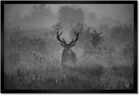 Poszterek keretben 60x40 Szarvas a ködben