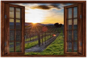 Poszterek 60x40 Szőlőbirtok Tájkép