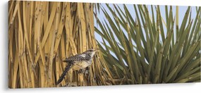 Kép - Ökörszem (120x50 cm)