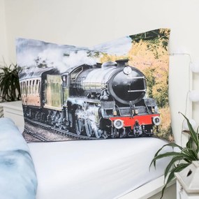 Egyszemélyes pamut gyerek ágyneműhuzat 140x200 cm Train – Jerry Fabrics