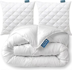 Paplan Párna Szett 160x200 2x 70x80 Egész Éves Antiallergén Szett