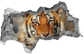 Lyuk 3d fali matrica Bengáli tigris nd-b-88747131