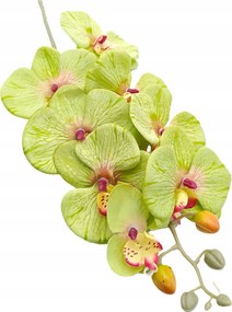 Orchidea Műág 77cm Mint Élő 8 Virág Zöld Rügy Dekoráció