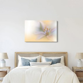 Kép - Gyengéd virág (90x60 cm)