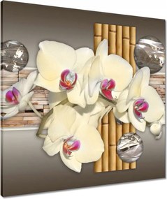 Vászonkép 60x60 Orchidea bambuszokkal