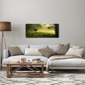 Kép - Ébredő erdő (120x50 cm)