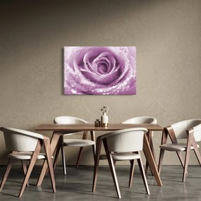 Egy rózsa virág részlete (90x60 cm)