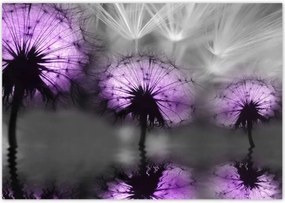 Poszterek 100x70 Tükröződés a vízben Sárkányok