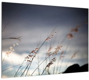 Kép - Rét virágai a tónál (üvegen) (70x50 cm)