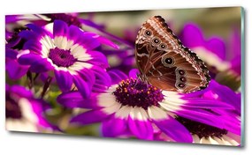 Egyedi üvegkép Pillangó a virágon osh-84885251
