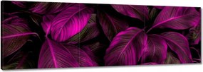 Vászonkép 60x20 Gyönyörű fukszia levelek