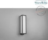 TRIO 226260142 FUERTE Modern Kültéri Fali Lámpa LED+E27 IP20