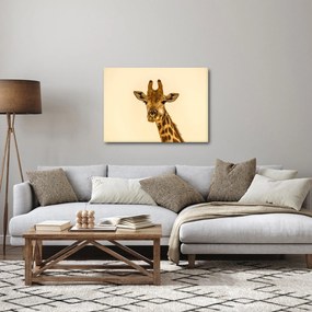 Egy zsiráf képe (70x50 cm)
