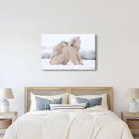 Kép - Jegesmedvék (90x60 cm)