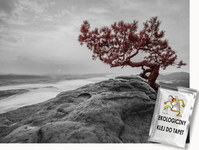 Fotótapéta Flizelina Tájkép Természet Fa Tenger Sziklák 200x140 ragasztó