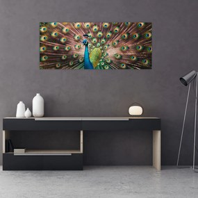 Kép - Páva (120x50 cm)