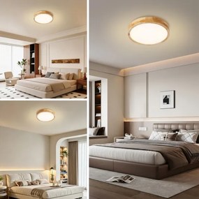 Brilagi - LED mennyezeti lámpa WOODLINE LED/24W/230V 3000/4000/6000K tölgy átm. 30 cm
