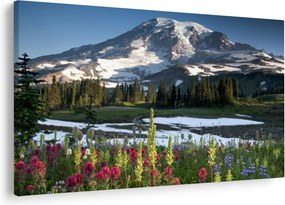 Kép - Mount Rainier (90x60 cm)