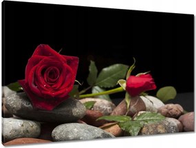 Vászonkép 90x60 Spa Wellness Relaxáció Víz