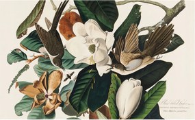 Stílusos Dekoratív Fotótapéta Flizelin Madarak Magnólia 416x254 Ragasztó