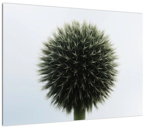 Egy viráglabda képe (70x50 cm)