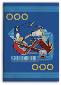 Sonic a sündisznó polár takaró 100x140cm