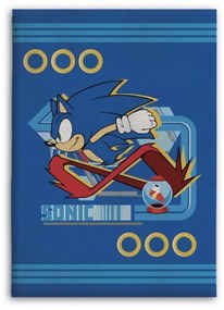 Sonic a sündisznó polár takaró kék 100x140cm