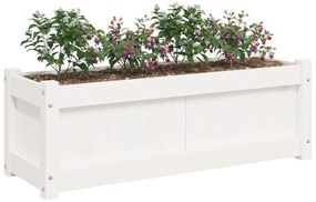 fehér tömör fenyő kerti virágláda 90x31x31 cm