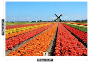 Fotótapéta szélmalom tulipánok 104x70 cm