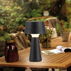 JUST LIGHT. 19260-18 - LED Dimmelhető kültéri lámpa ABERA LED/3W/3,7V IP54