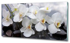 Egyedi üvegkép Orchidea osh-143985624