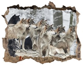 Lyuk 3d fali matrica Matrica wolves télen nd-k-171243935