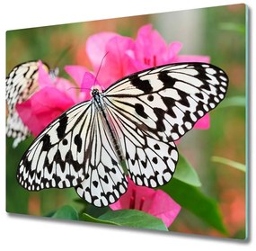 Üveg vágódeszka Pillangó a virágon 60x52 cm