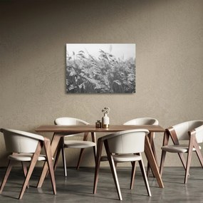 Üveg kép - Fű a szélben (70x50 cm)