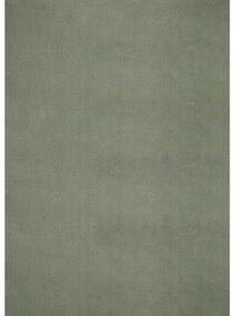 Royal Plüss Luxary Szőnyeg 252 dark green (Zöld) 120x170cm
