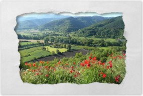 Poszterek 60x40 Virágos kilátás a hegyekben
