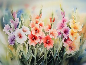 Vászonkép Canvas Természet Kert Rét Virágok Gladiole Kard 80x60