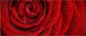 Kép - részlet a rózsáról (120x50 cm)