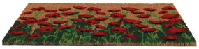 Kókuszrost lábtörlő 40x60 cm - Esschert Design