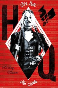 Plakát The Suicide Squad - Harley Quinn, (61 x 91.5 cm)