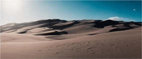 Kép - A sivatagból (120x50 cm)